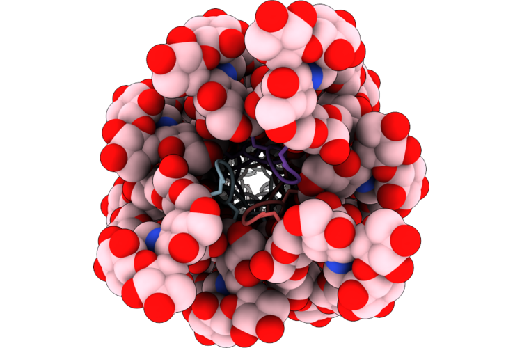 21NT image