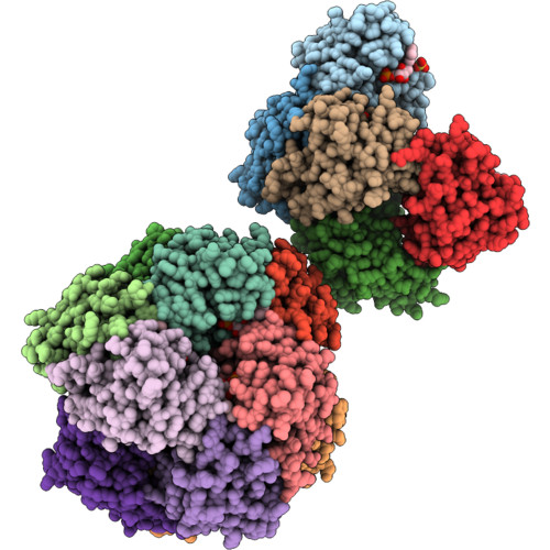 21TR image