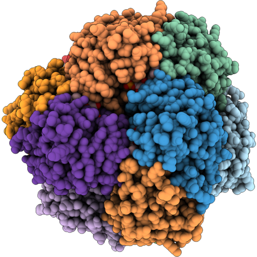 21TS image