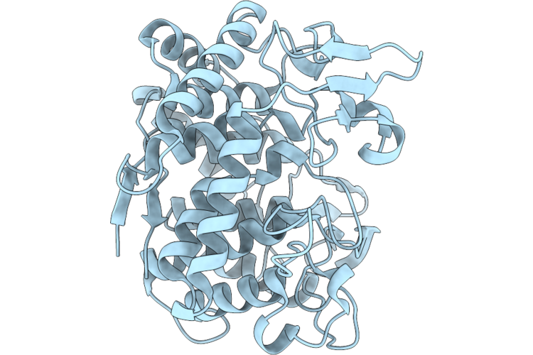 21XQ image