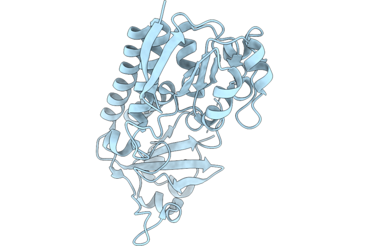 21ZD image