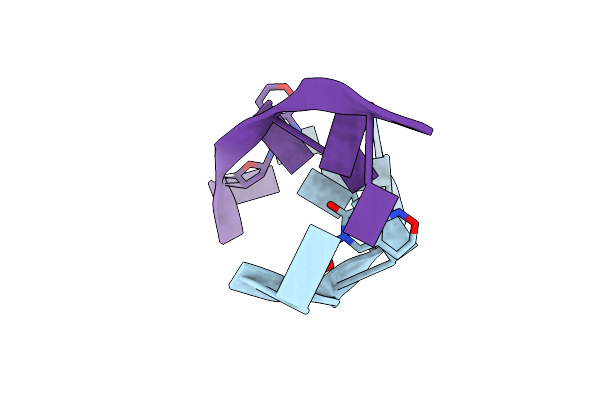 223D image