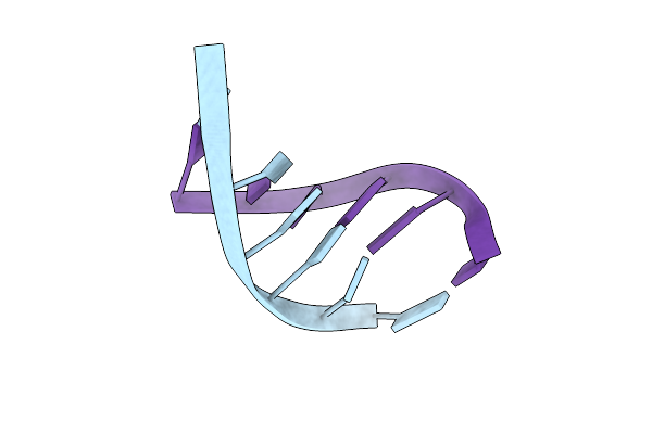 224D image