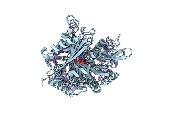 22AJ image