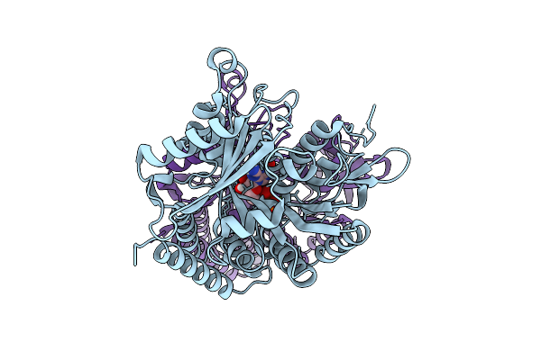 22AK image