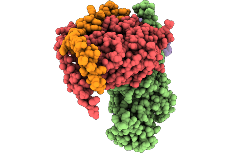 22EM image