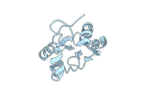 22FG image