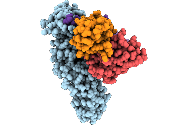 22GL image