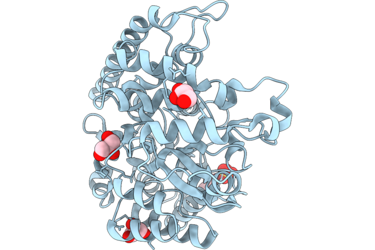 22HL image