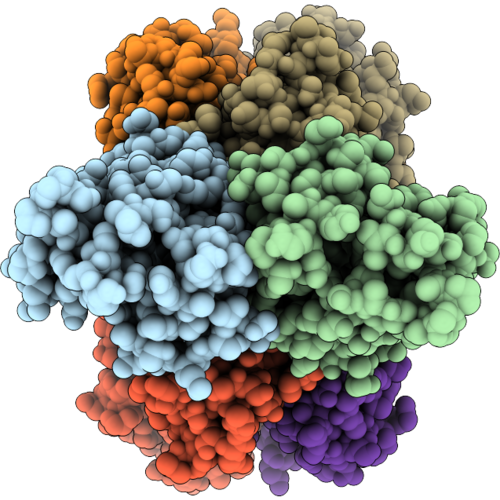 22LL image