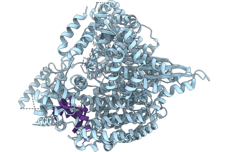 22TR image