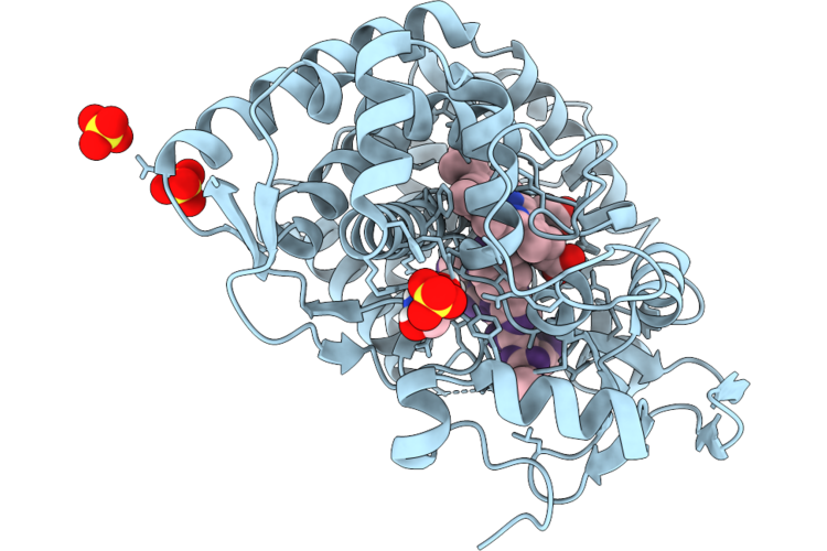 22YX image