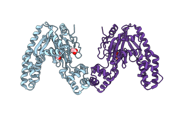 22YZ image