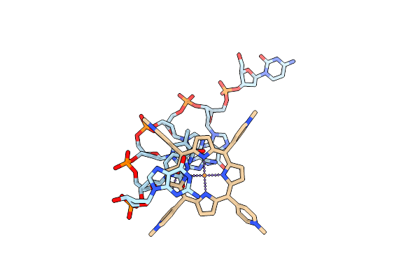 231D image