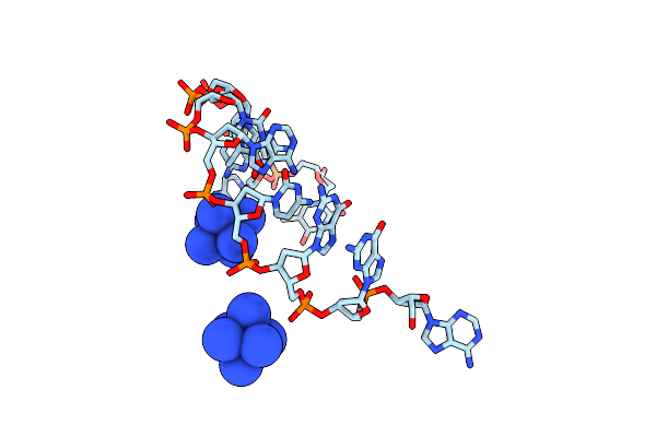 232D image