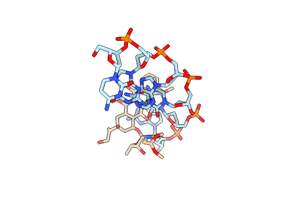 234D image