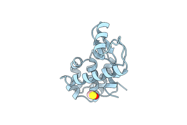 234L image