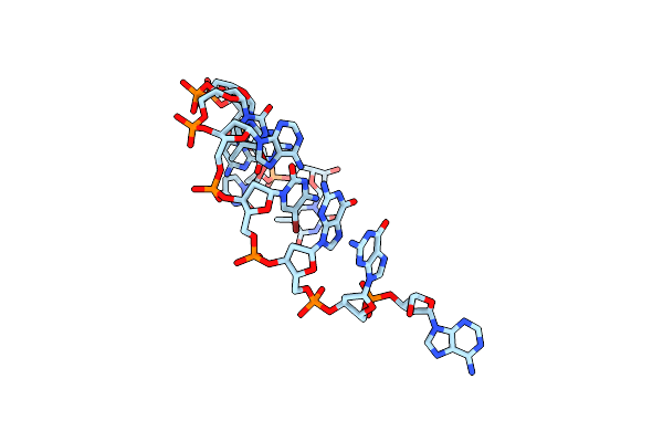 238D image