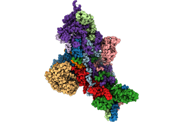 23CP image