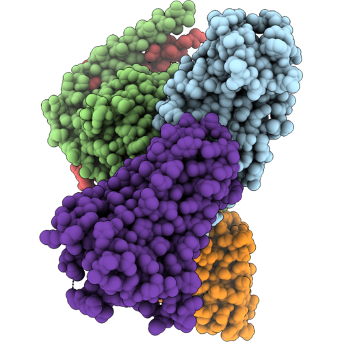 23CS image