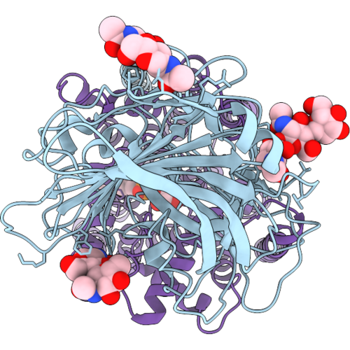 23GX image