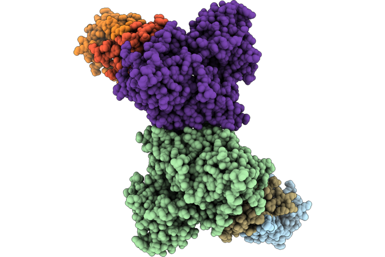 23NX image