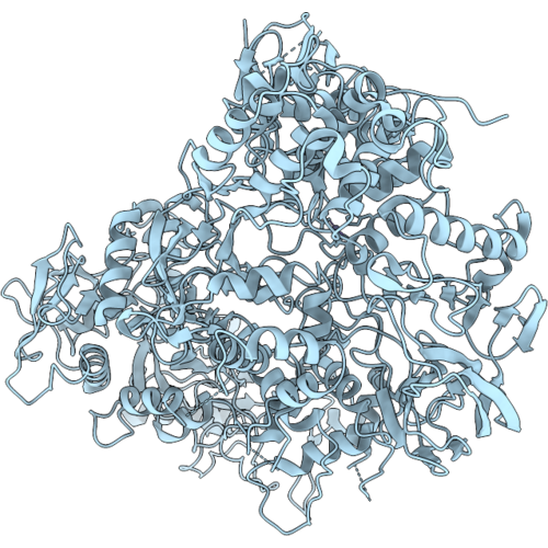 23PX image