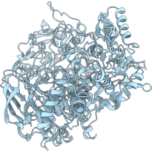 23PY image