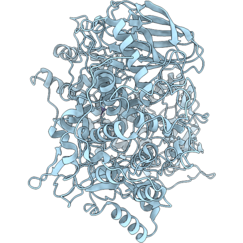 23PZ image