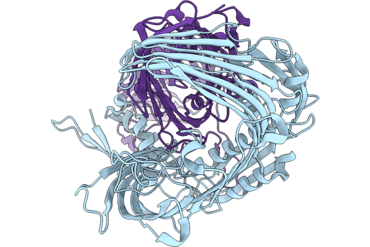 23SP image