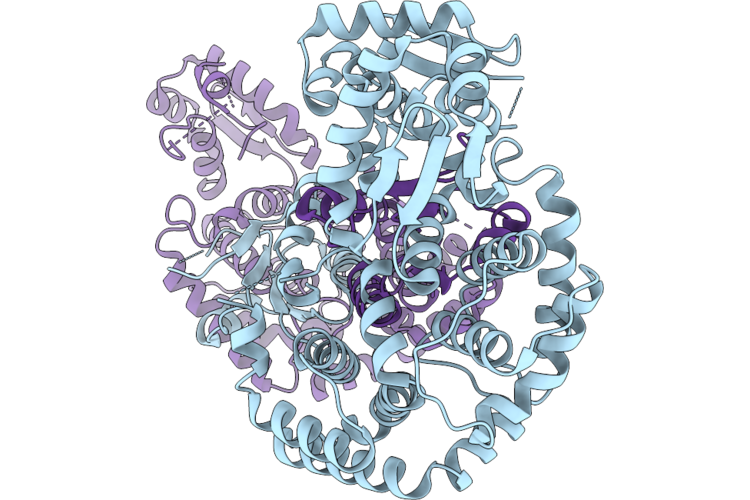 23VJ image