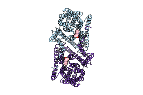 23XM image