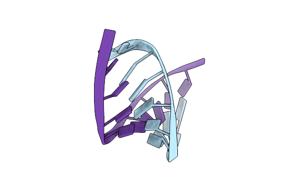 240D image