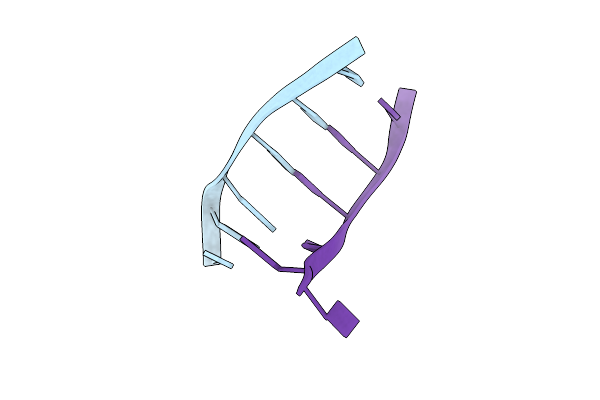 241D image