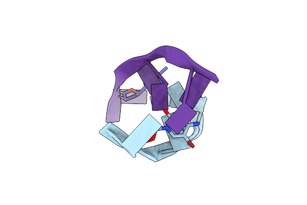 242D image