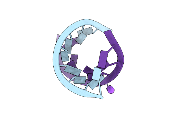 246D image