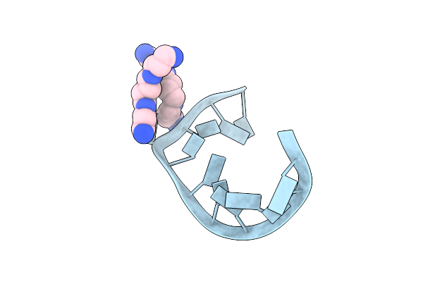 248D image