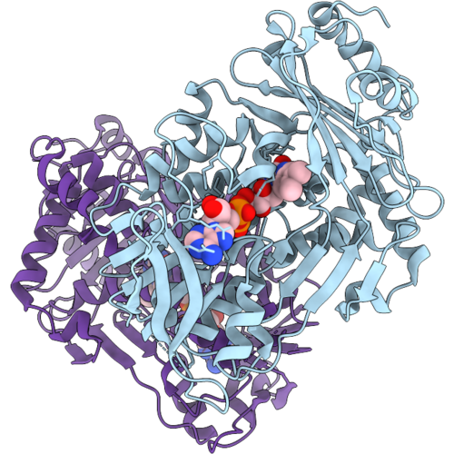 24BG image