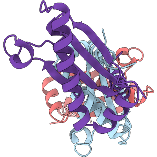 24BT image