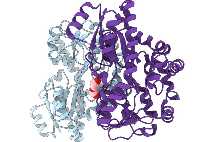 24GC image