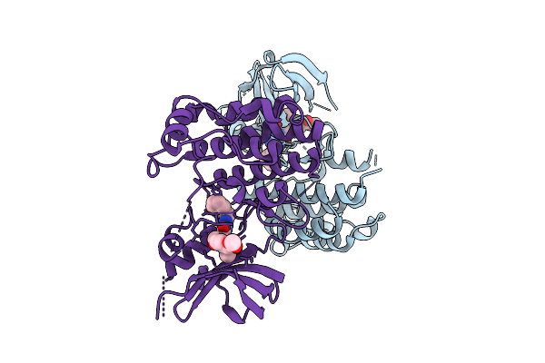 24IB image