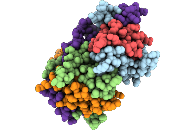 24PU image