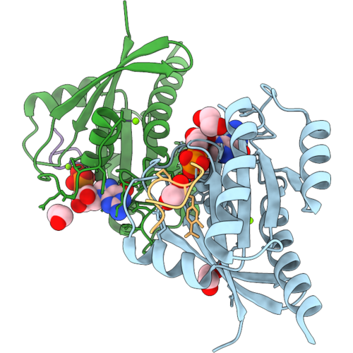 24SP image