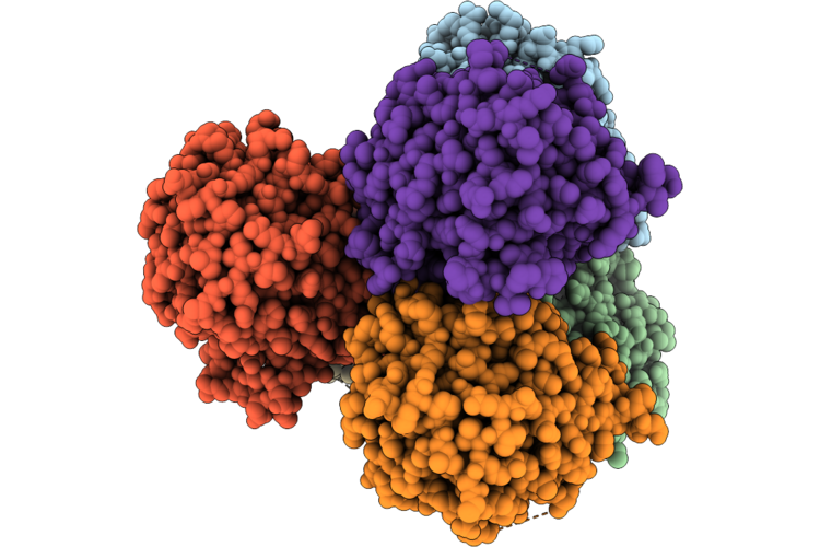 24UW image