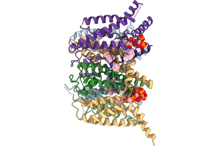 24VK image