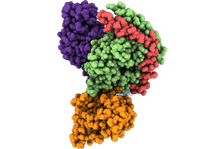 24XB image