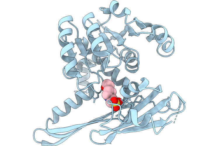 24XH image