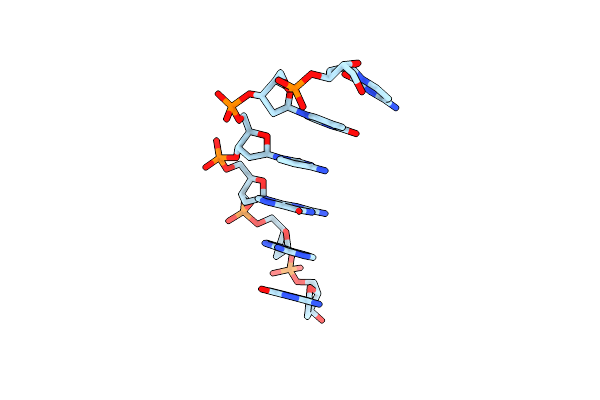 251D image