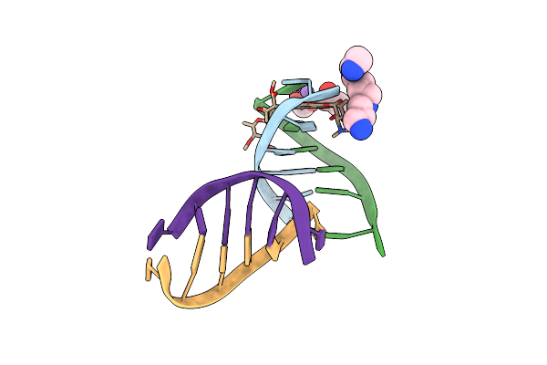 258D image