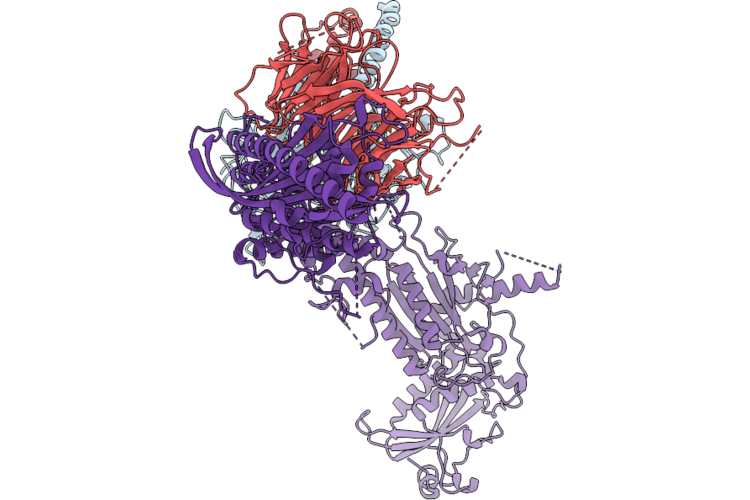 25GE image